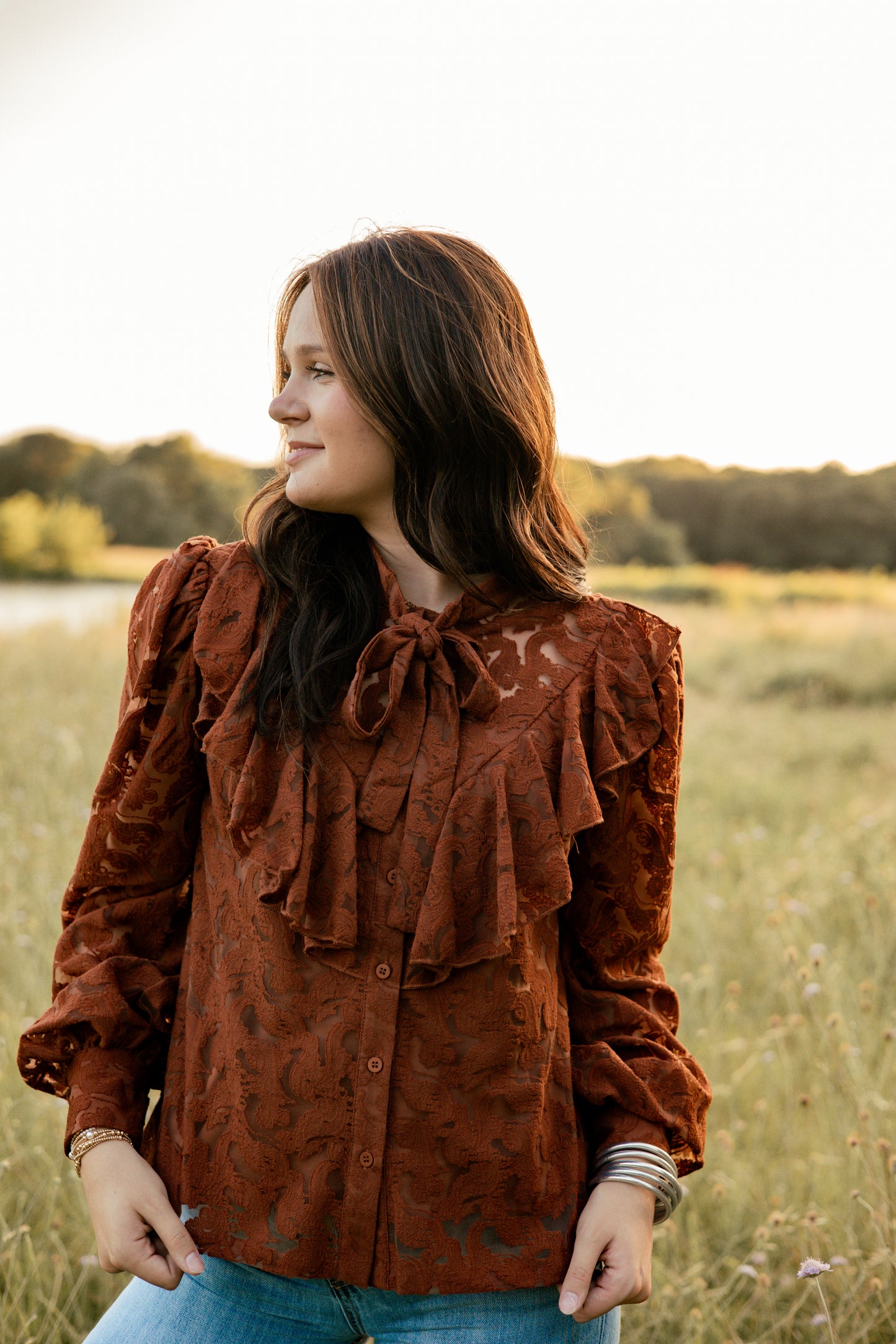 Brown Lace Long Sleeve Blouse
