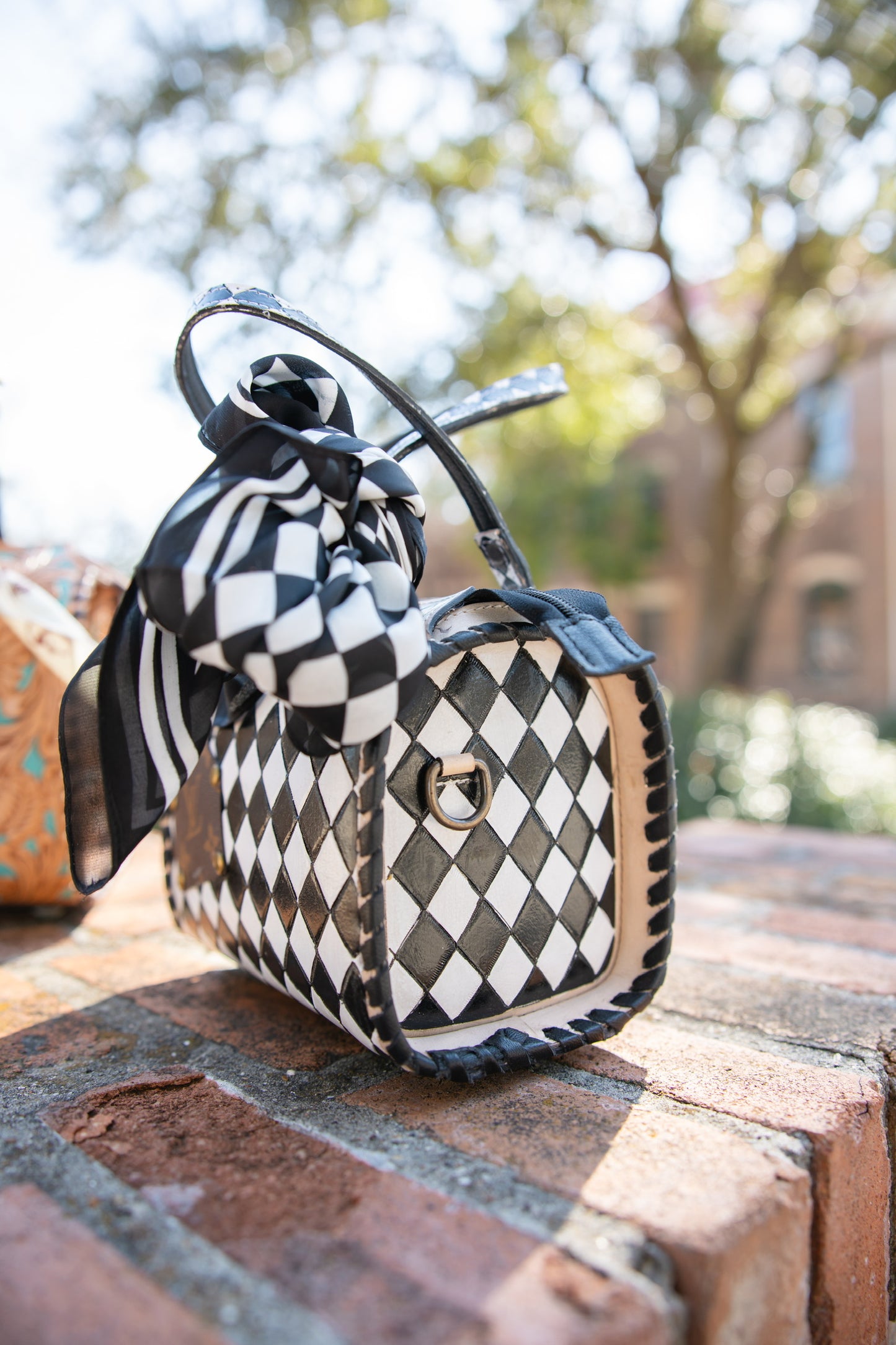 LV Black White Checkered Speedy Bag